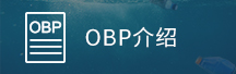 OBP介绍