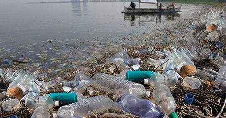 海洋塑料认证适用于哪些组织？