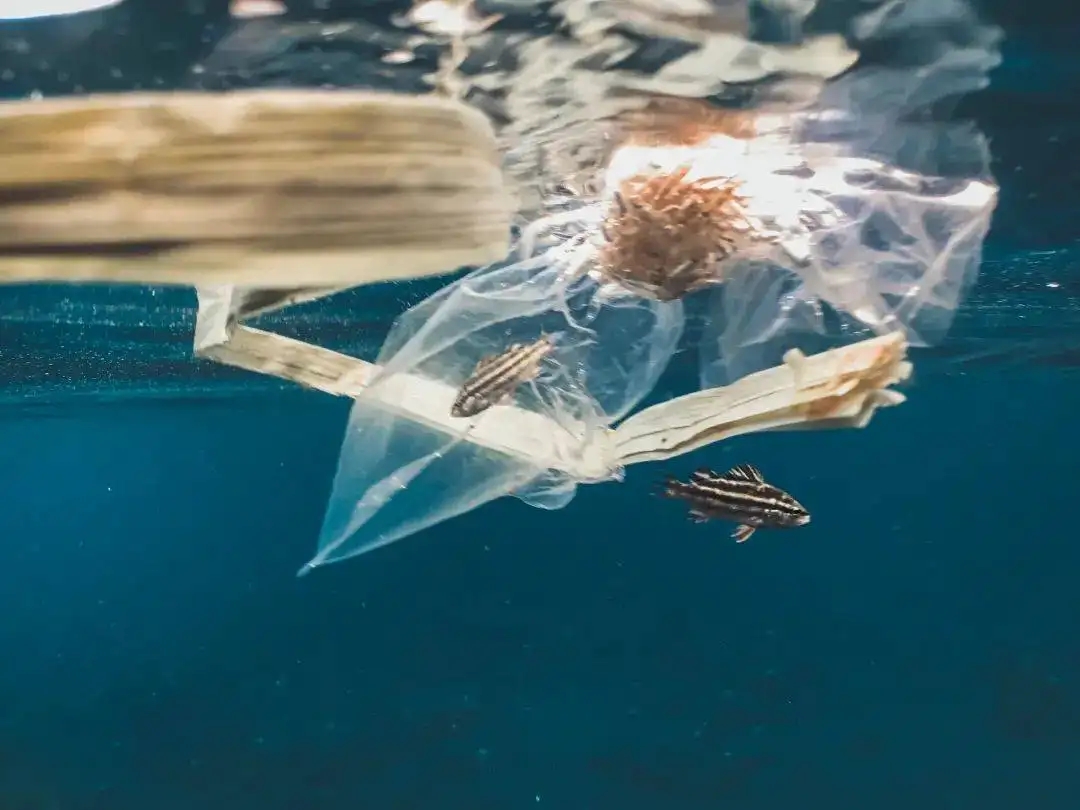 对于海洋污染，OBP海洋塑料认证有什么影响