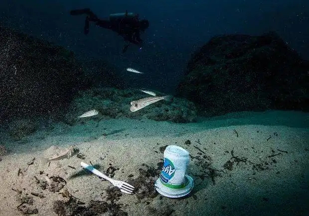 什么是海洋微塑料 有什么危害