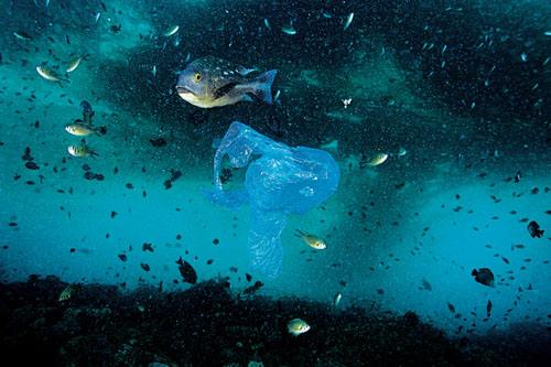 海洋污染为何严重 什么是OBP海洋塑料认证
