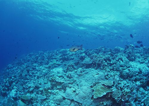 OBP海洋塑料认证减少塑料行业的碳排放
