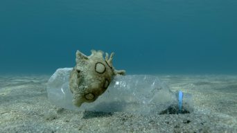 治理塑料污染三要素 OBP标准数量的核算方式