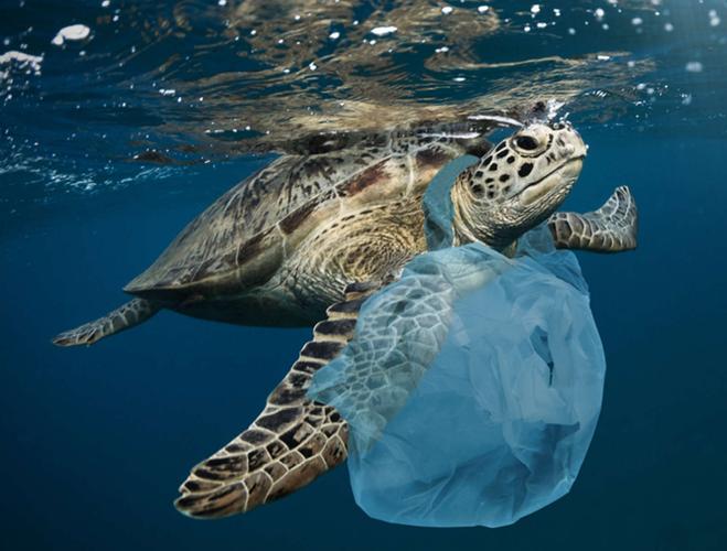 OBP海洋塑料认证加强塑料回收再生趋势