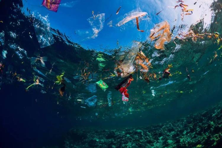 OBP海洋塑料认证再生回收标准的涵盖范围