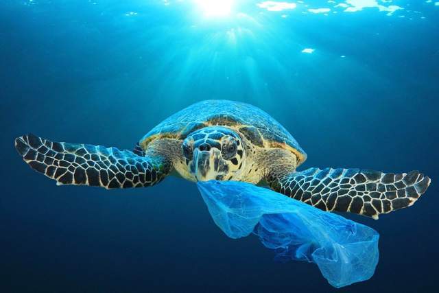 海洋再生塑料通过OBP认证重新回到生产价值链