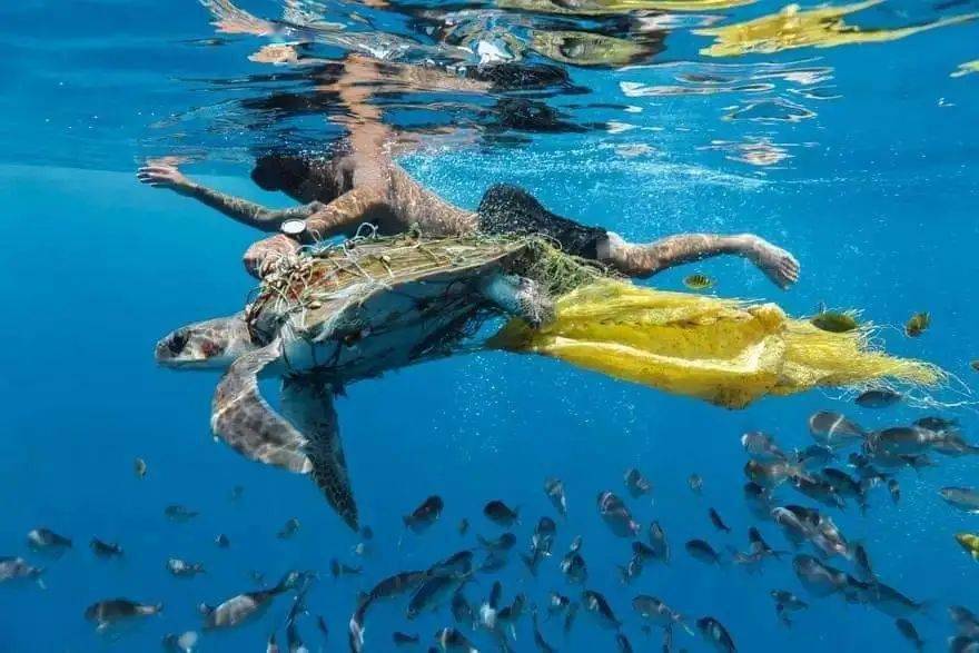 OBP海洋塑料认证索赔的组织应遵循的要求标准
