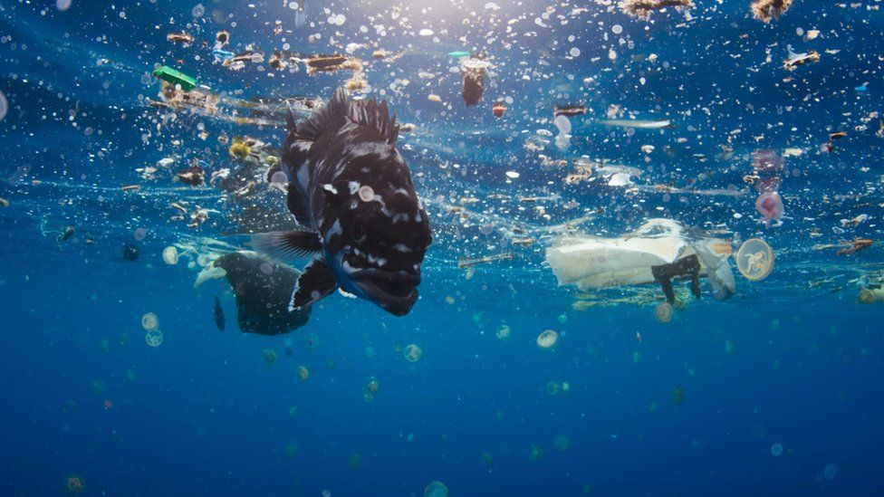 OBP认证减少海洋塑料的方式 OBP认证涉及内容