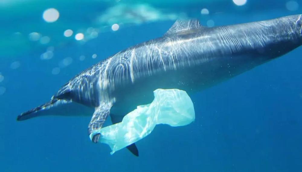 OBP海洋塑料认证改善废塑料的回收利用的意义