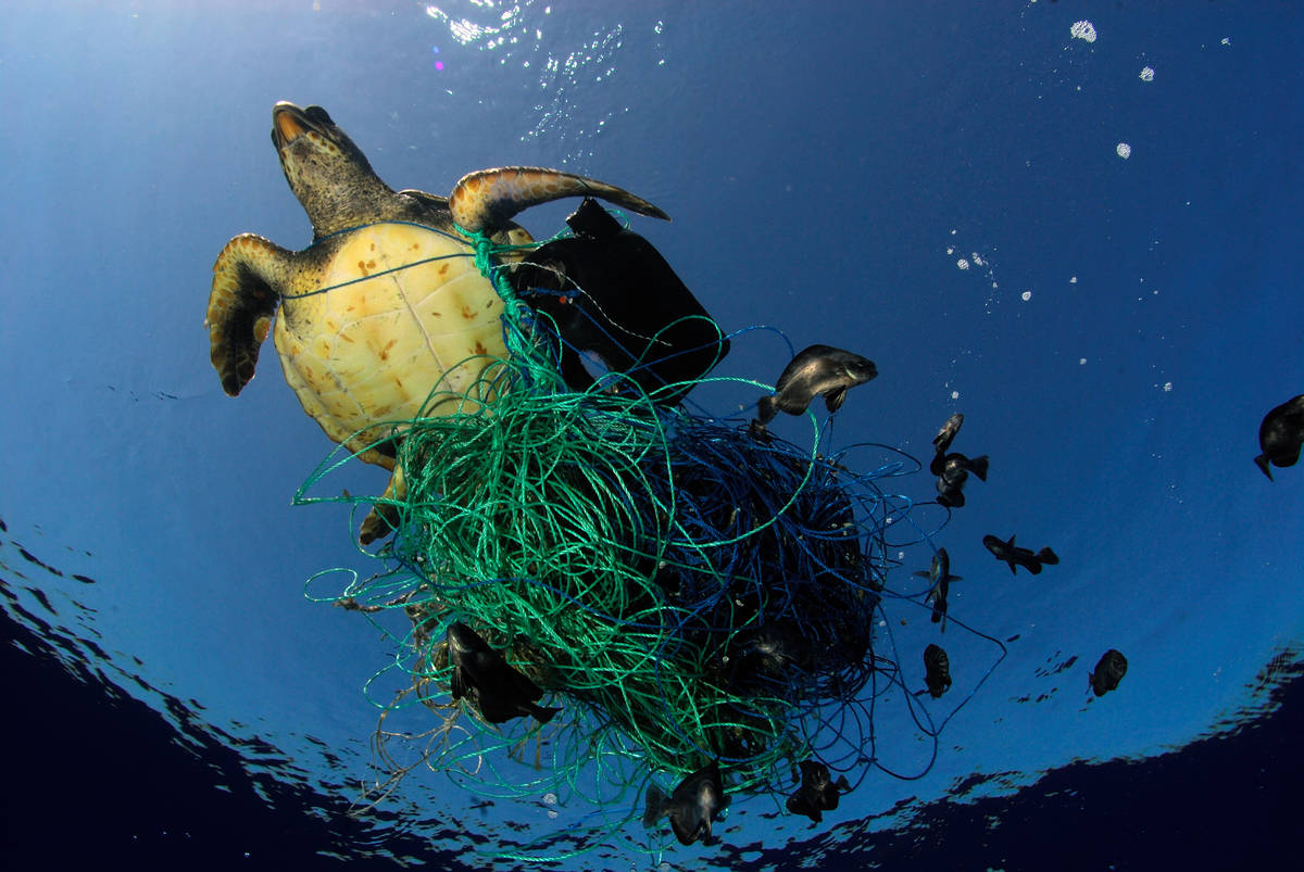塑料污染的生命周期方法 OBP海洋塑料认证范围