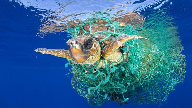 OBP海洋塑料认证销售和可回收循环的两个标准