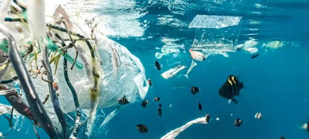 海洋微塑料潜在生态风险 OBP认证解决方案