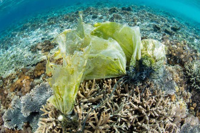 OBP认证计划回收后的海洋塑料高性能化