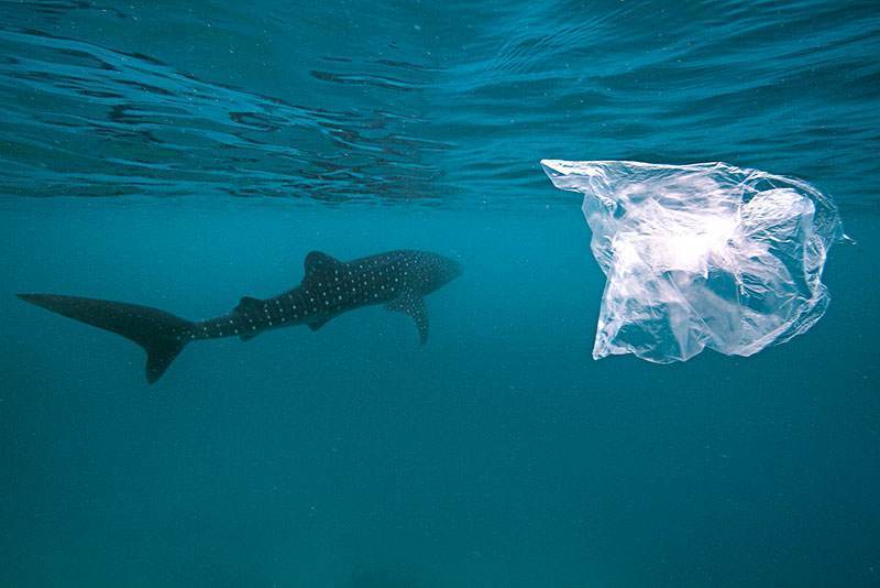 海洋微塑料的严重性 OBP海洋塑料认证的核心