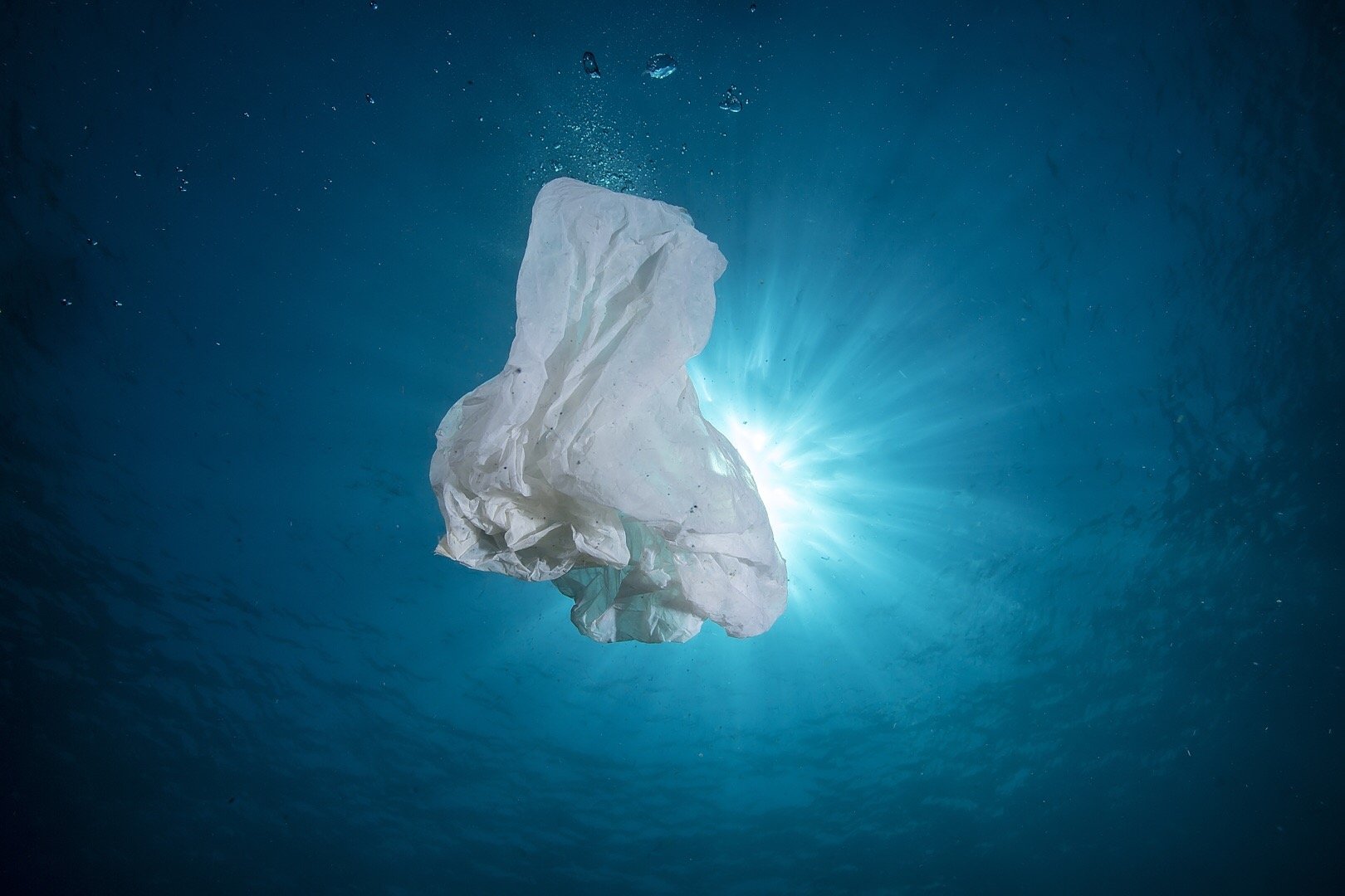 海洋塑料污染治理的政策途径 OBP海洋塑料认证