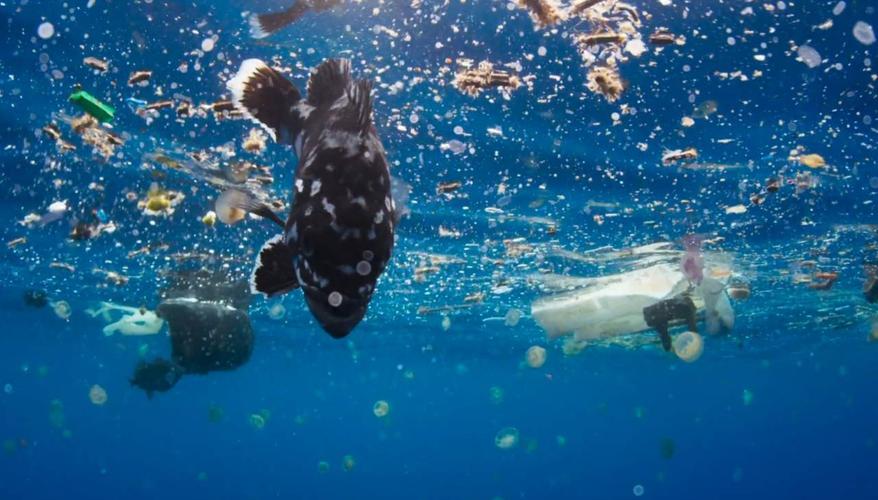 OBP海洋塑料认证对回收塑料来源的定义和验证