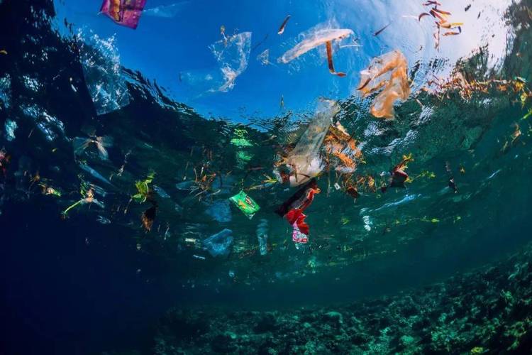 OBP海洋塑料认证克服挑战和限制采取的措施