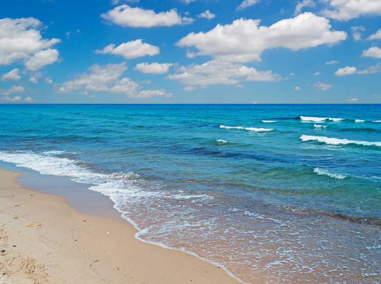 OBP海洋塑料认证对海洋塑料环境转化为可再生资源