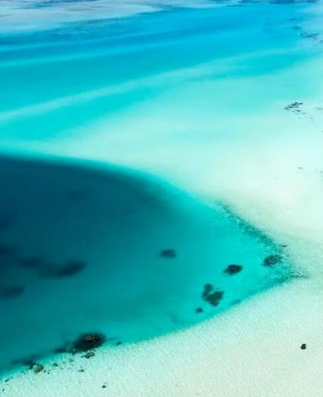 OBP海洋塑料​对海洋微颗粒有效管控再生利用标准