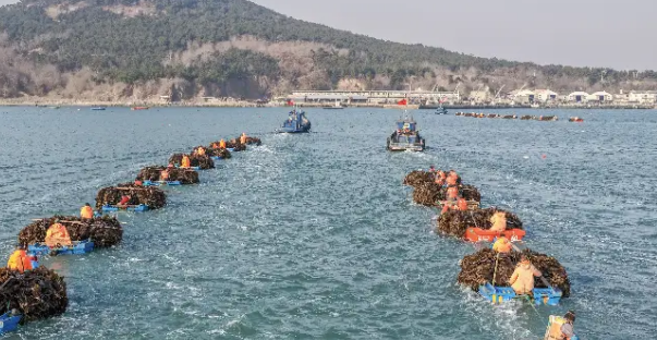 OBP海洋塑料对塑料颗粒海洋垃圾回收追溯要求标准