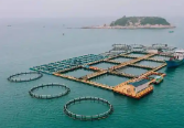 OBP海洋塑料对塑料回收承载着生态责任与可持续价值