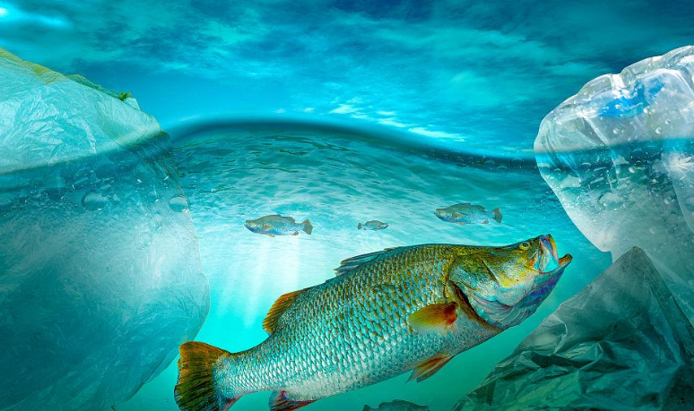 海洋塑料颗粒企业回收申请OBP合规塑料流入造粒工序