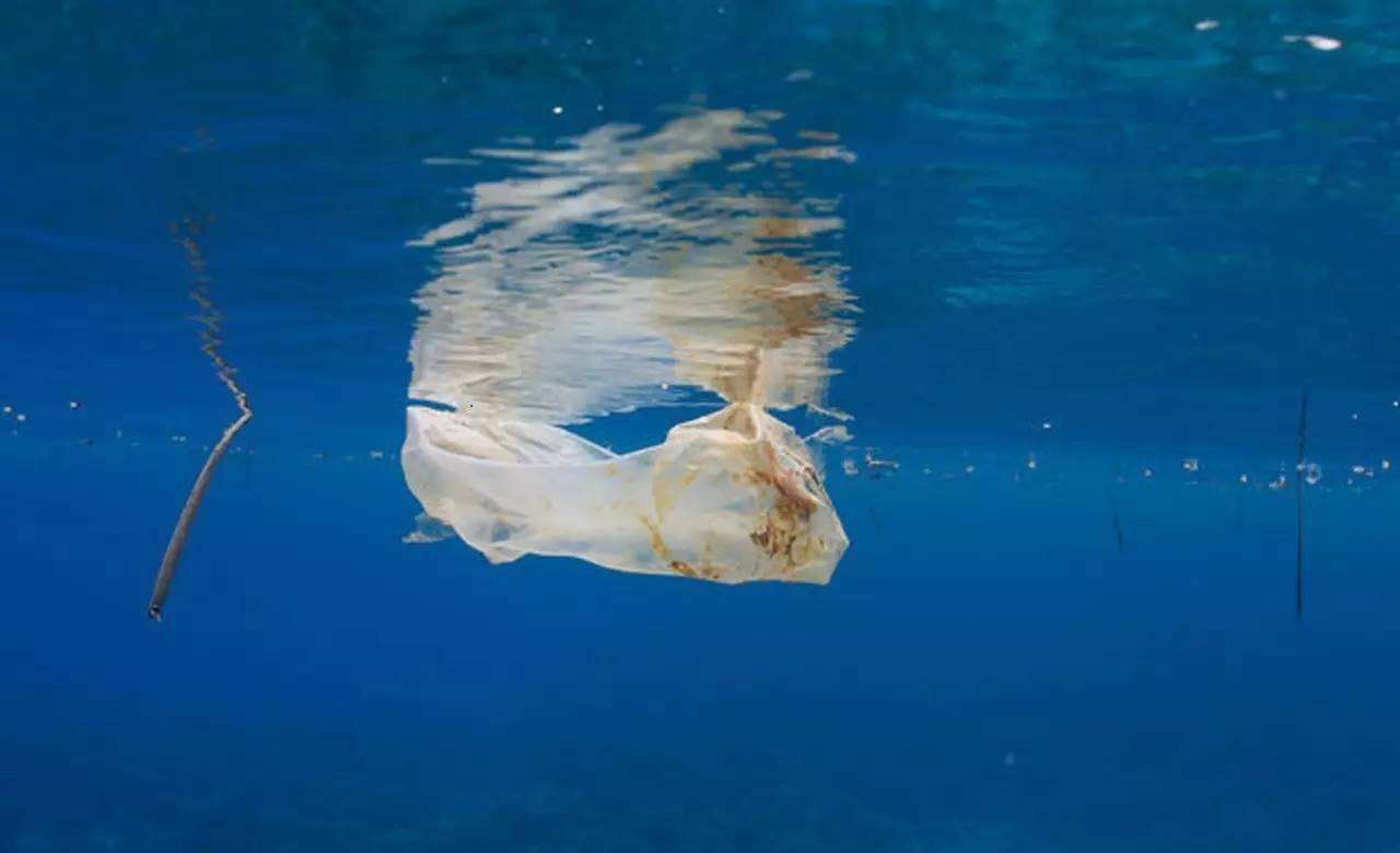 OBP海洋塑料认证 OBP海洋塑料认证