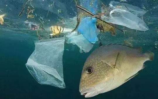 OBP海洋塑料认证