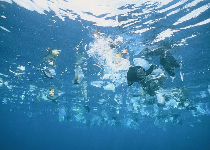 OBP海洋塑料认证