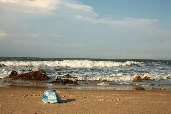 OBP海洋塑料认证