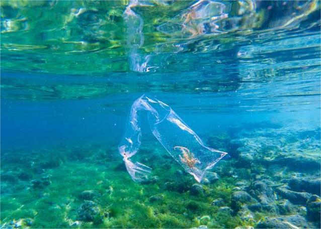 OBP海洋塑料认证 OBP海洋塑料认证