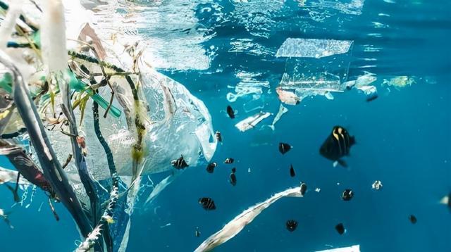 OBP海洋塑料认证